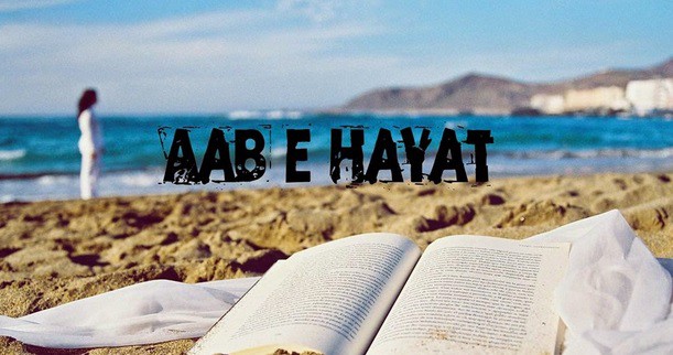 Aab E Hayat Episode 13 Review
