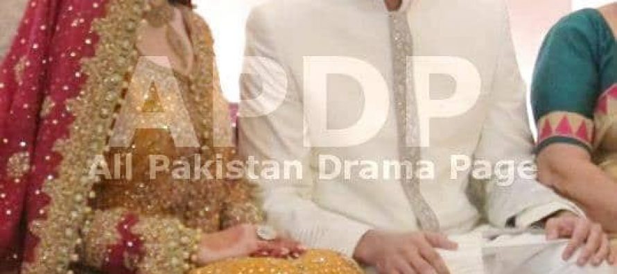 Shehzad Sheikh-Happily Married! Snaps!