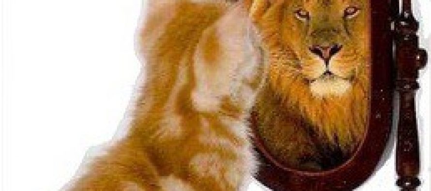 Self-Confidence – Where It Comes From And How Important It Is