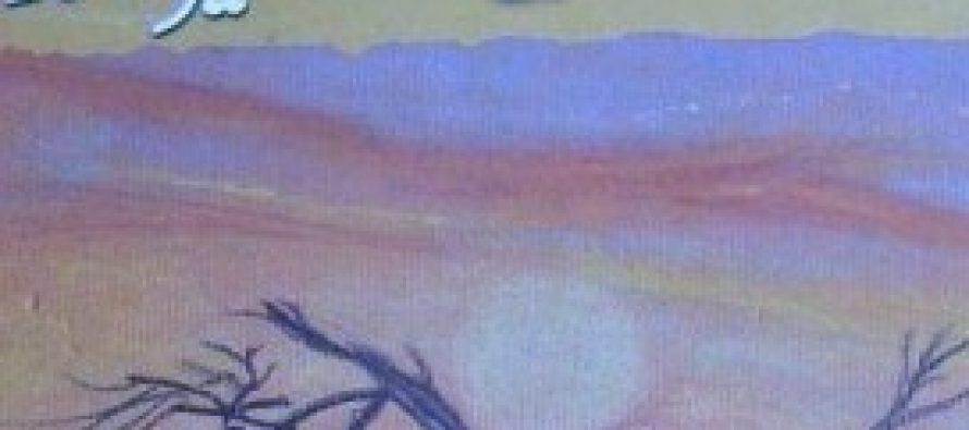 Amar Bail by Umera Ahmed Chapter 1 – 10 in Roman Urdu
