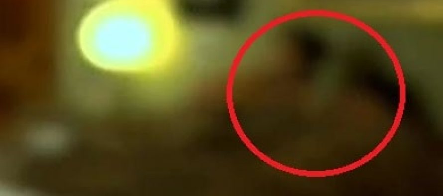 HUM TV turns Controversial for showing ‘GAY’ Scenes!