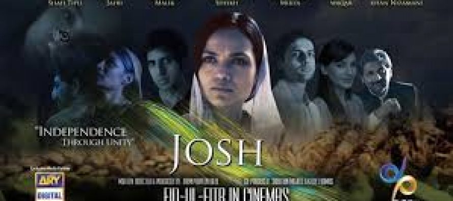 ‘Josh’ –Some Elements Missing! Movie review