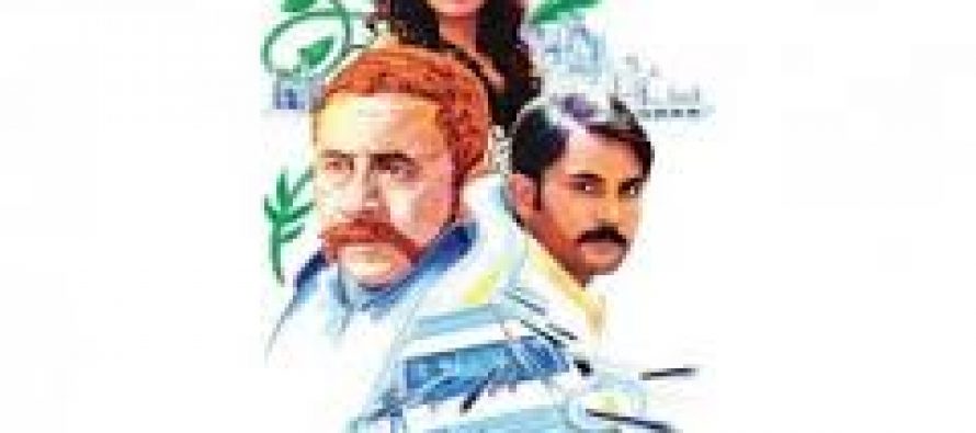 Zinda Bhaag Review – Quirky and Vibrant
