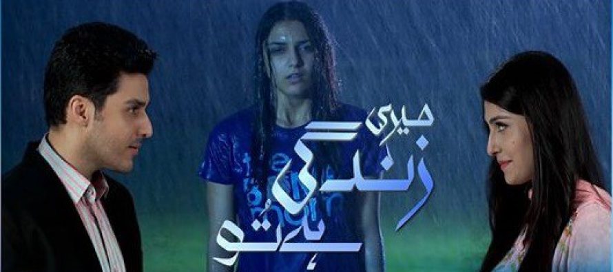 Meri Zindagi Hai Tu – A refreshing start