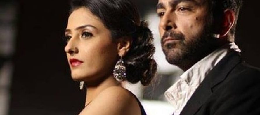 Pakistani Movies to Look Forward to in 2014!