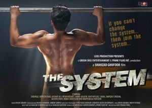 The System