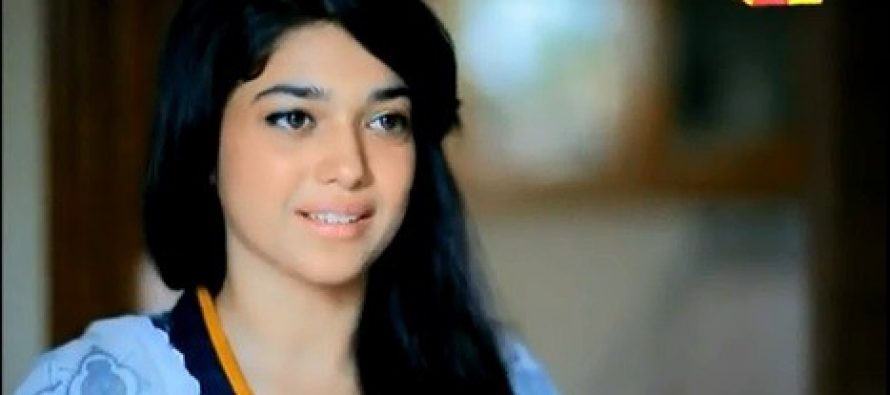 Mohabbat Subha Ka Sitara Hai – Episode 10