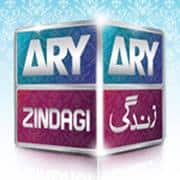 ARY Zin