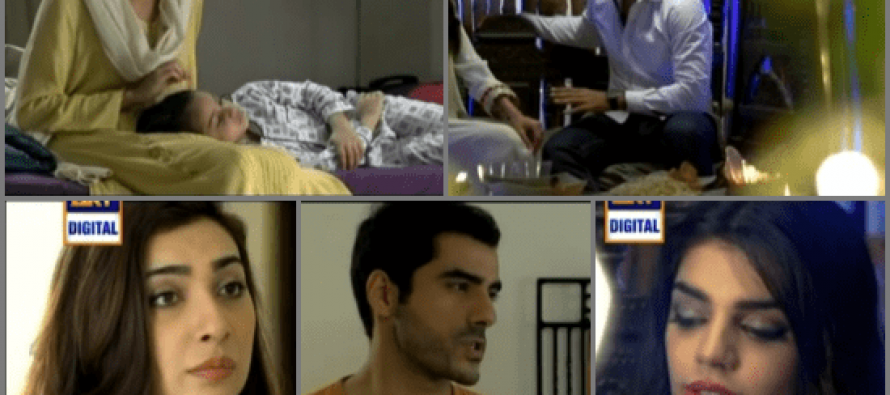 Shukk Episode 27 – Qurbani Mode On!!