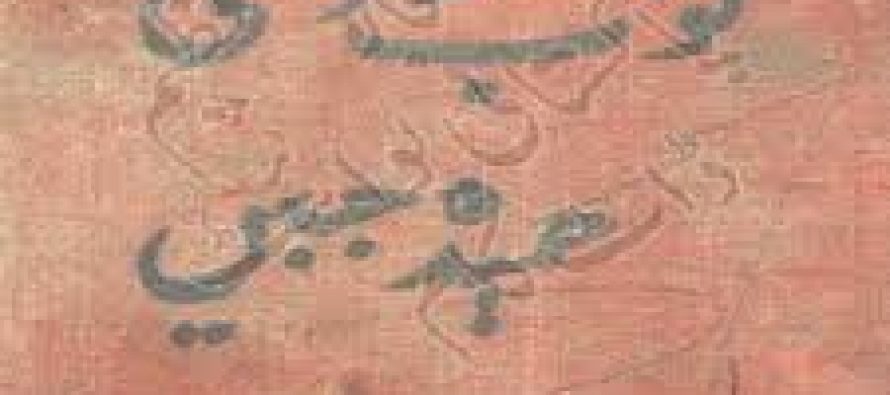 Famous Novelists – Hameeda Jabeen