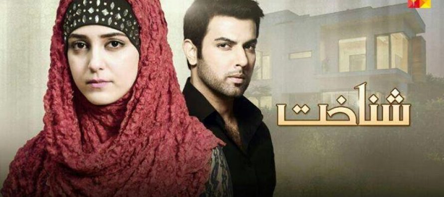 Shanakht, new drama by Hum TV