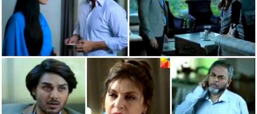 Mausam – Episode 16