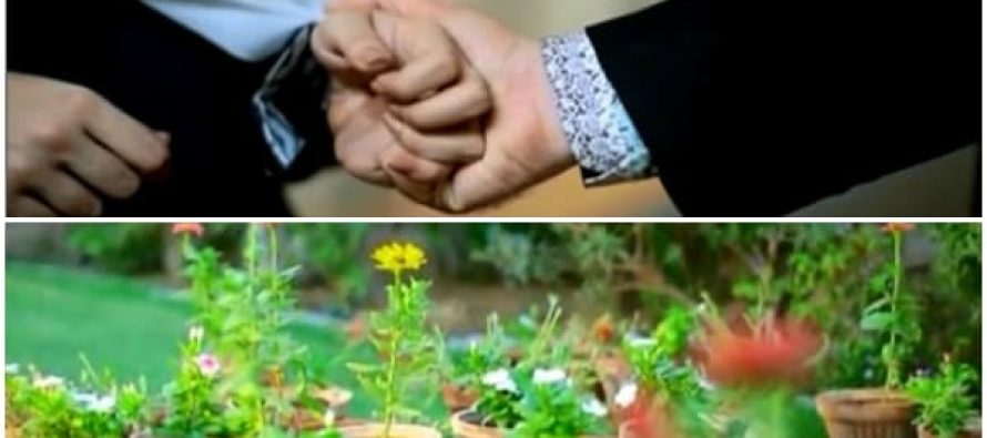 Mausam Last Episode- And They Lived Happily Ever After!!