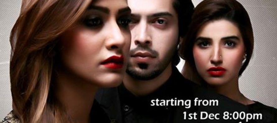 Doosri Bivi on ARY Digital starting from 1st December 2014