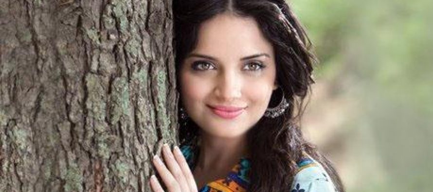 Armeena Rana Khan, interview for an English Daily