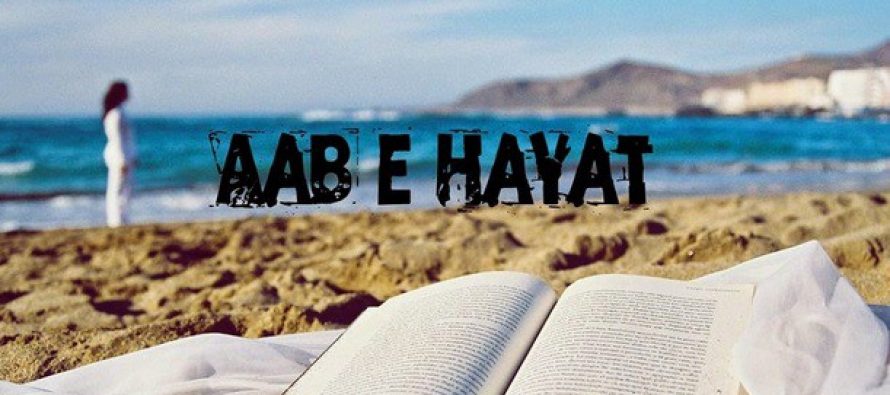 Aab-e-Hayat: Episodes 12 & 13
