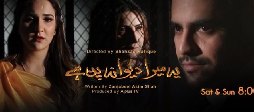 Yeh Writer Ka Pagalpan Hai… Yeh Mera Deewanapan Hai- Episode Overview