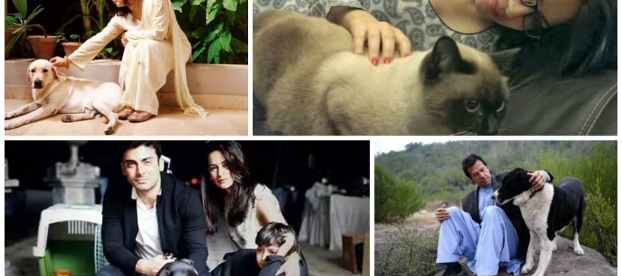 Pakistani Celebrities With Their Pets – Pictures