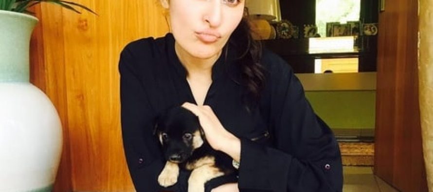 Shaista Lodhi Reveals Her Future Plans