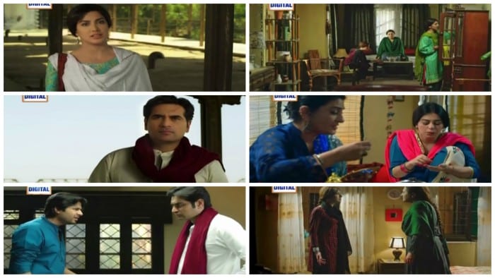 dillagi1