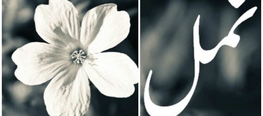 Naml – Episode 25