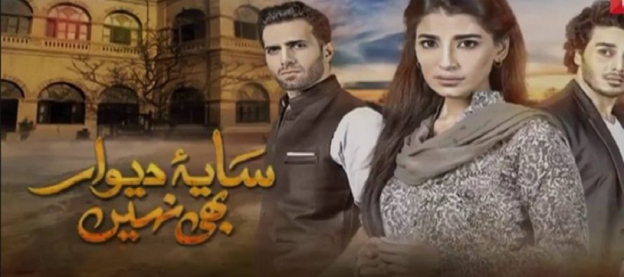 Saya-e-Dewar Bhi Nahin Episode 3 – Tough Choices Ahead