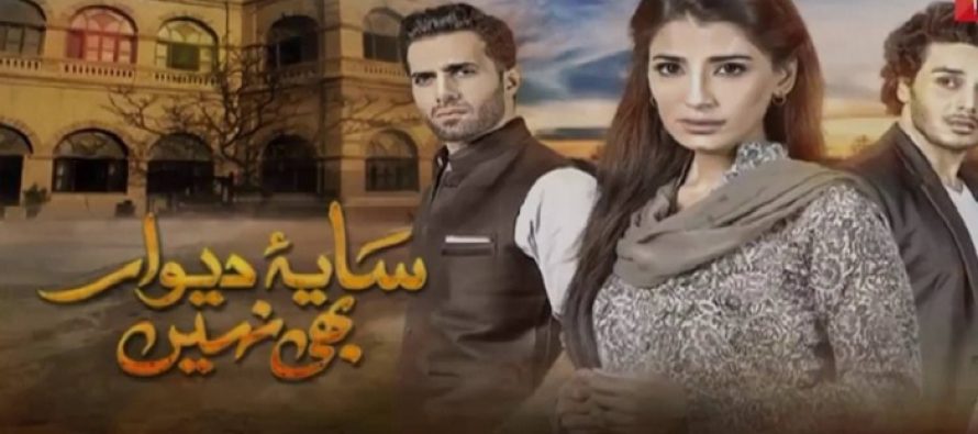 Saya-e-Dewar Bhi Nahin Episode 4 – Unimpressive!