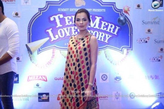 Teri-Meri-Love-Story-19-600x400