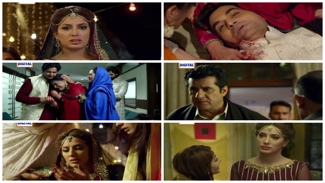 dillagi1