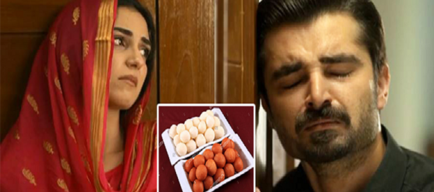Mann Mayal Last Episode – Good Riddance
