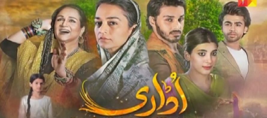 Udaari Episode 24 – Zebu Continues To Be Strong