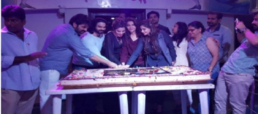 Pictures of the Success Party of Drama Dil Lagi