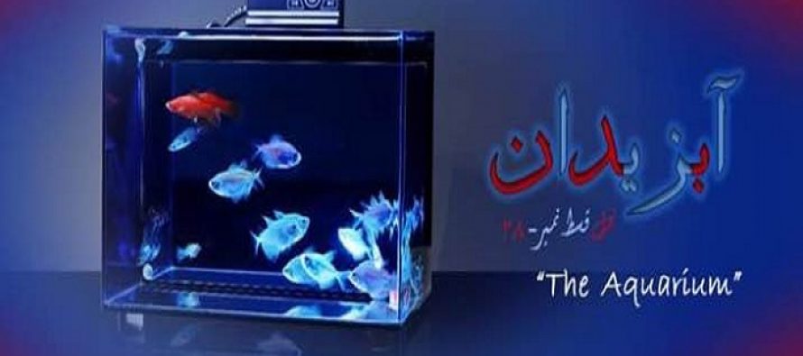 Naml Episode 28 (Aabzeedan) Review – Patience tested!
