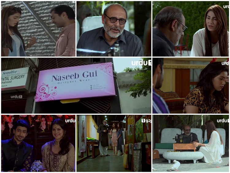 Shehrnaz Episode 9 Review - Engaging & Fast-Paced