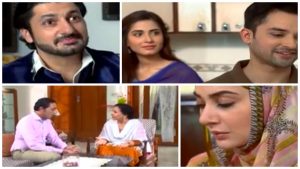 Noor E Zindagi Episodes 21 & 22 Review - Opposites Attract?