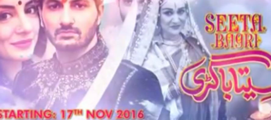 Sarwat Gilani speaks about Seeta Bagri