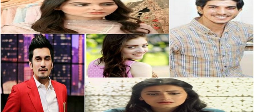 Most Popular Television Debutants Of 2016