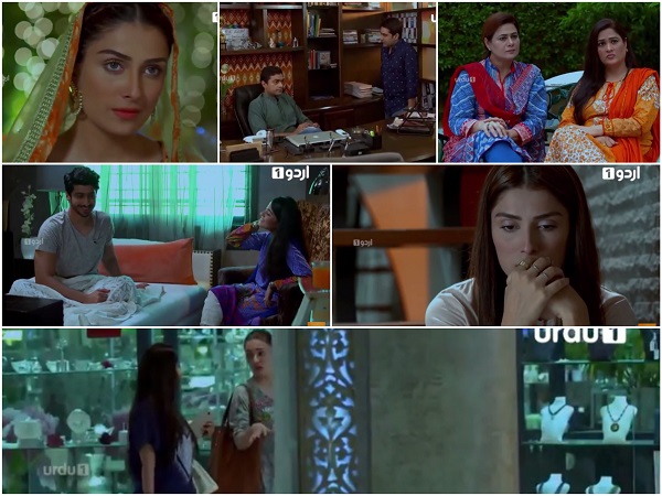 Shehrnaz Episode 16 Review - Foolish Decisions