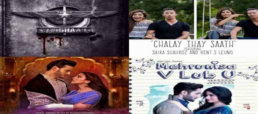 Pakistan Film Producer Association Forms Committee & Demands Equal Prime Time For Local Films