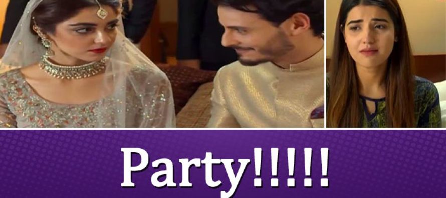 Sanam Last Episode Review – Anda Paratha Party!