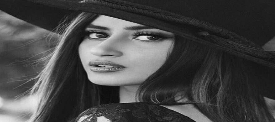 Upcoming drama Woh Yaqeen Ka Naya Safar – Sajal Ali Spills The Beans