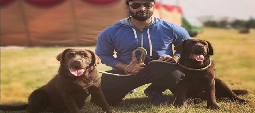 3 celebrities and their cutest pets