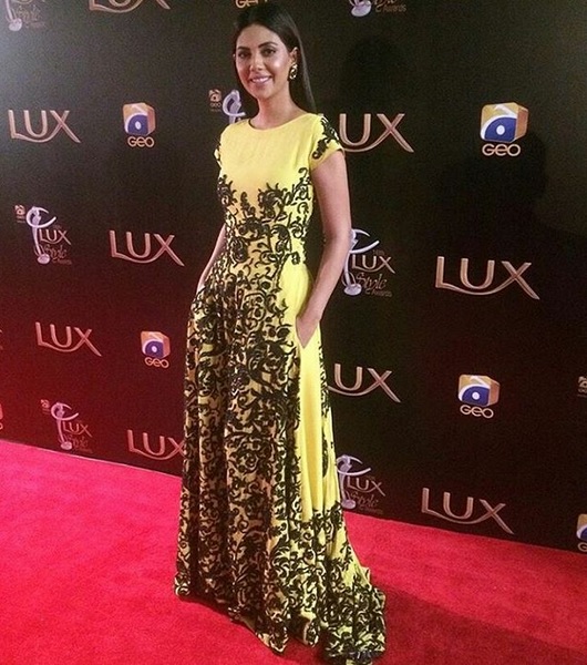 Best Dressed Celebrities At Lux Style Awards 2017