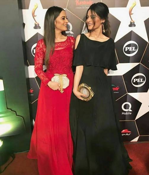 Best Dressed Celebrities At Hum Awards 2017