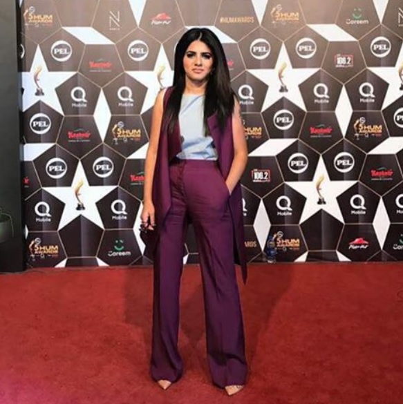 Worst Dressed Celebrities At Hum Awards 2017