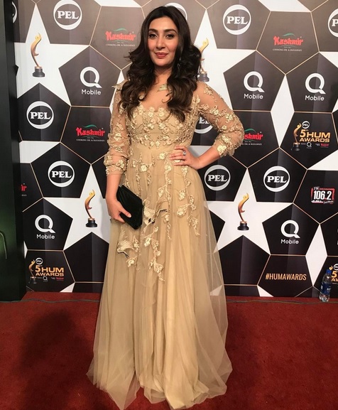 Worst Dressed Celebrities At Hum Awards 2017