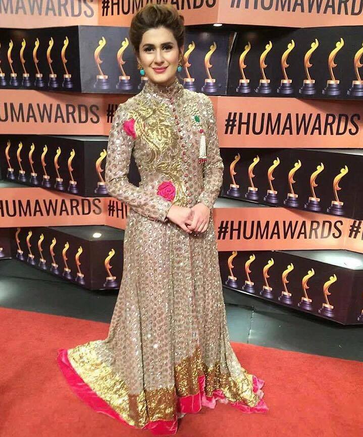 Best Dressed Celebrities At Hum Awards 2017