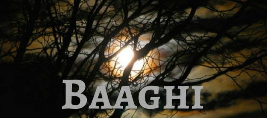 Baaghi’s teaser will leave you awestruck!