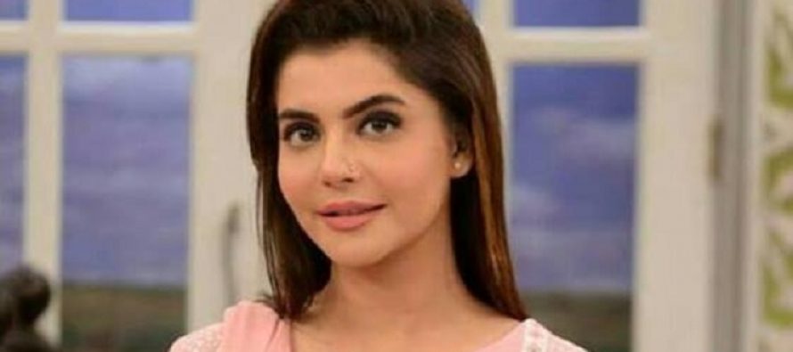Nida Yasir – Biography, Age, Education, Family, Husband, Dramas