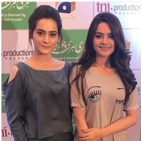 Cast Of Drama Serial 'Hari Hari Choriyan' Meets Press | Reviewit.pk